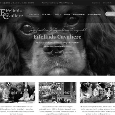 Züchter Cavalier King Charles Spaniel Eifelkids Cavaliere